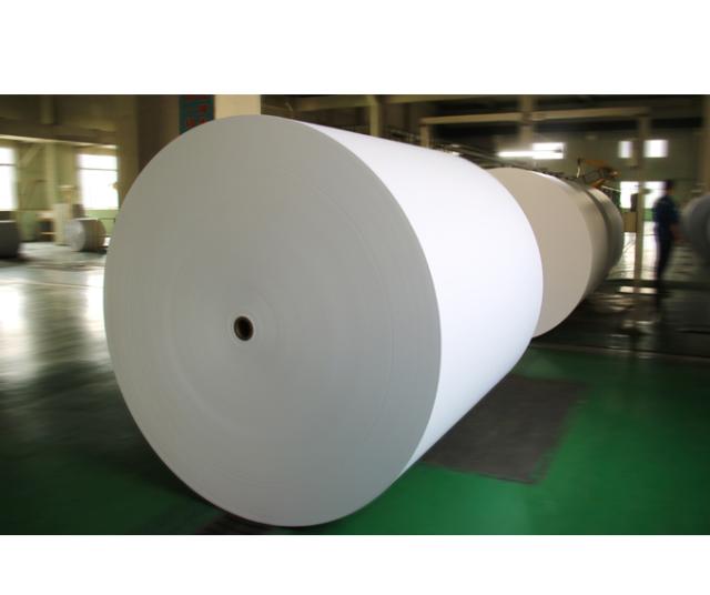 Offset Printing Paper（印刷用纸）